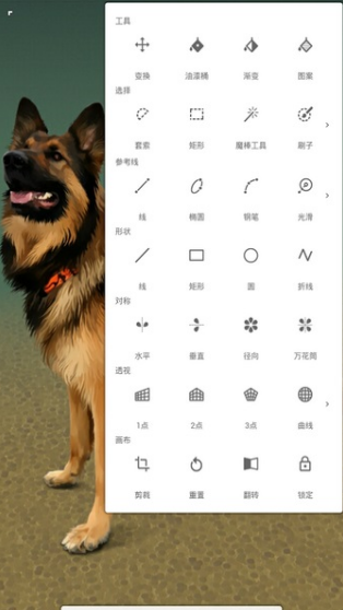 painter dapp؈D