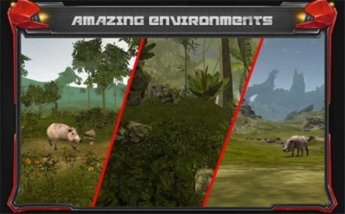 ҰC °棨Wild Hunt Pig Sniper Shooting؈D